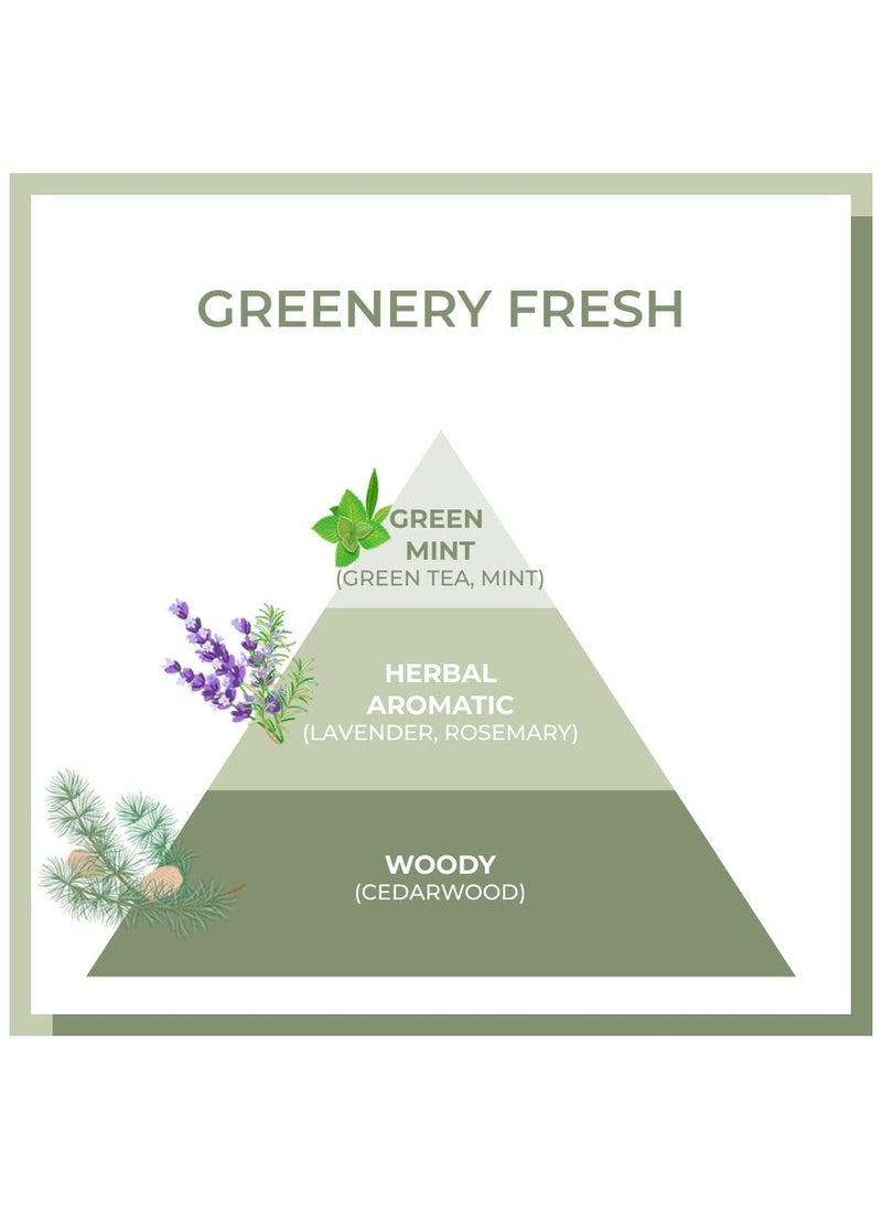 Professional The Green Tea Volume Mist (140ml)