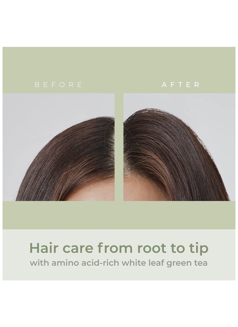 Professional The Green Tea Volume Mist (140ml)