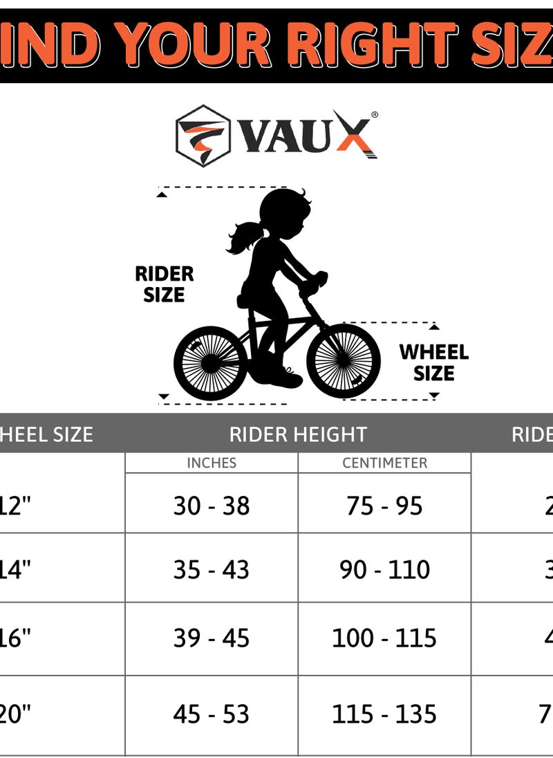 Royal 12 Inch Kids Bikes Grey