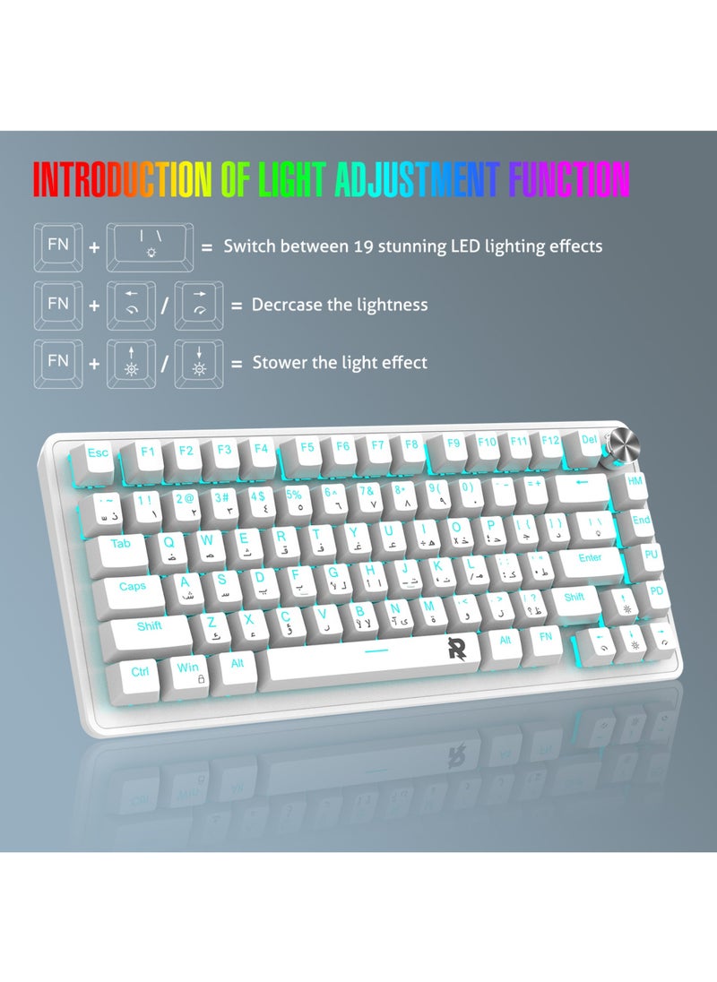 ROCK POW 70% Gaming Keyboard,Arabic English 82 Keys Mechanical Keyboard with Ice Blue Backlit 19 Modes, Volume Lighting Knob Wired Mini PBT Keycaps for PC Gaming and Working (Red Switch)White
