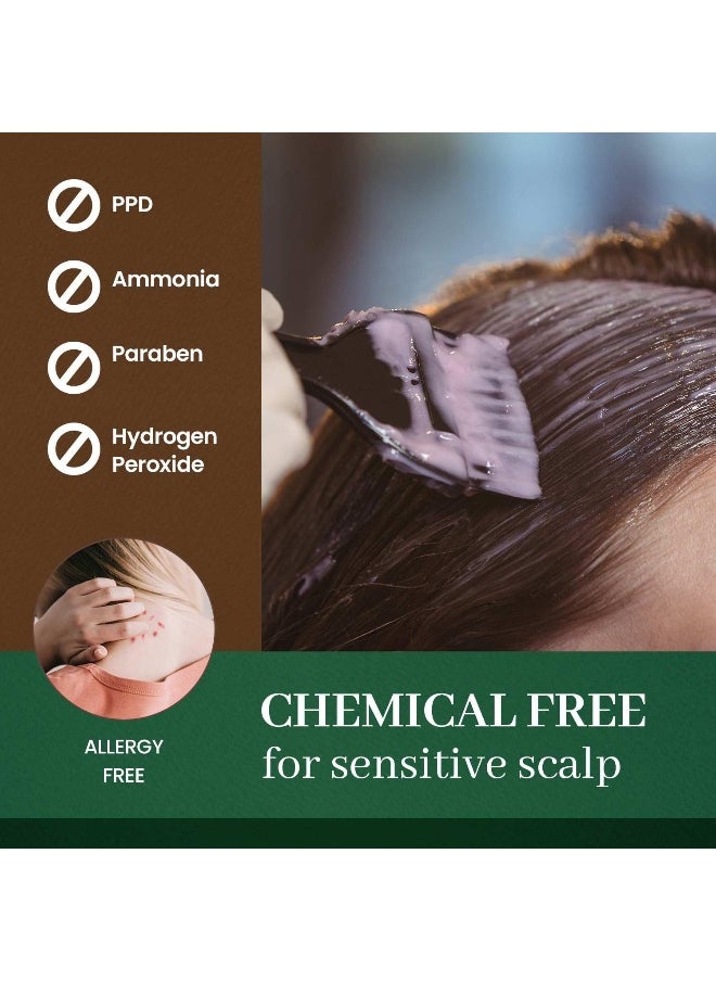 DONGSUNG Herb Speedy Color Cream Soft Black 1 Pack PPDFree AmmoniaFree Vegan Hair Dye with Sun Protection Odorless Gentle for Sensitive Scalp No Eye or Scalp Irritation