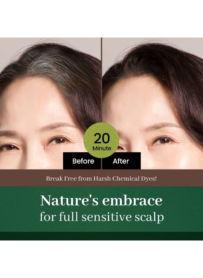 DONGSUNG Herb Speedy Color Cream Soft Black 1 Pack PPDFree AmmoniaFree Vegan Hair Dye with Sun Protection Odorless Gentle for Sensitive Scalp No Eye or Scalp Irritation