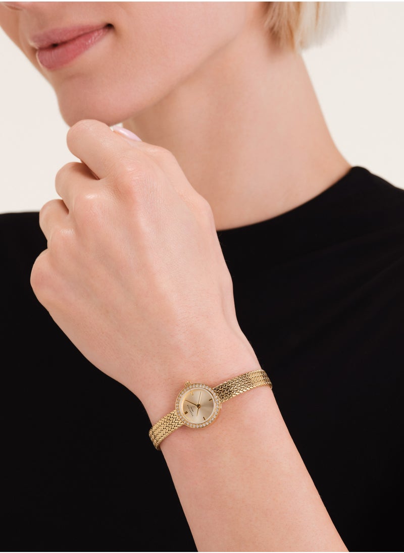 Mini Small Edit Champagne Dial Crystal Gold Woven Mesh Strap - MCGMG-M03