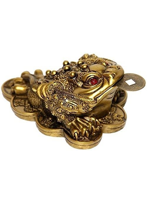 RIPE INDIA Feng Shui Money Frog Three Legged Toad Hold Two Ignots On A Pile of Money for Wealth Luck