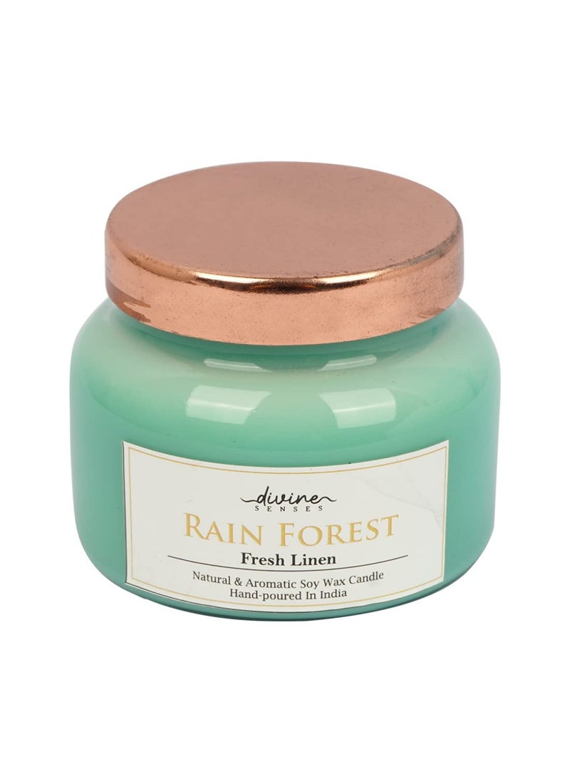 Divine Senses Scented Candle Aromatherapy Manifestation Natur Vegan Soy Wax Intensely Scented Gifting 450 Grams 60 Plus Hours Burning time Fragrance Fresh Linen Vanilla