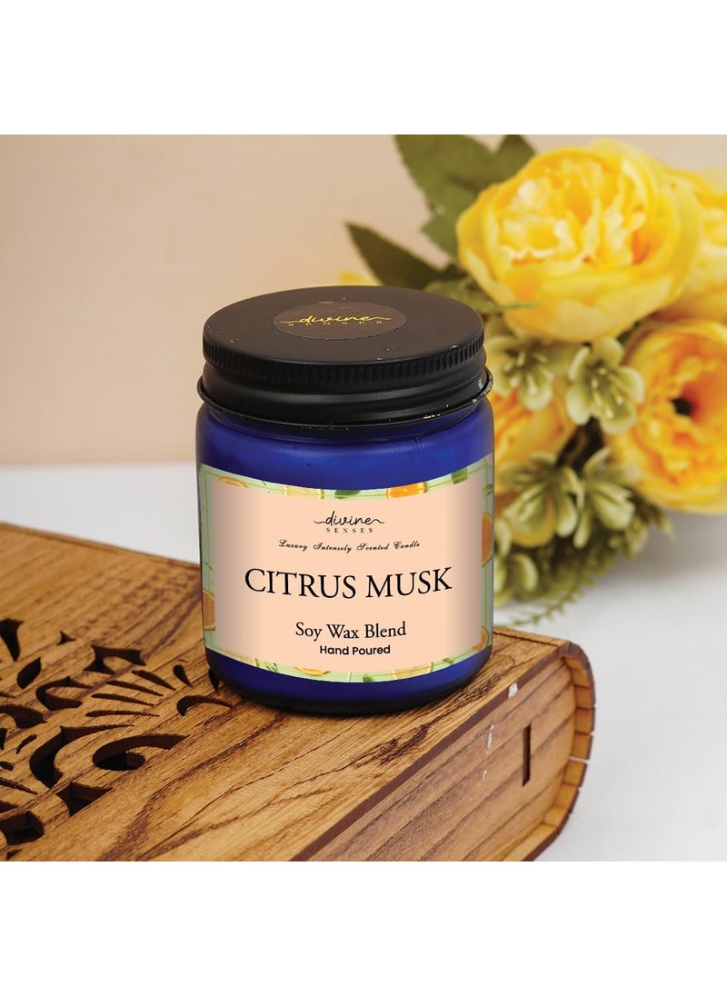 Divine Senses Scented Candle Natural Soy Wax Aromatherapy Candle Premium Glass Jar 30 Hour Long Burning Candles for Home DecorGift for All Occasions