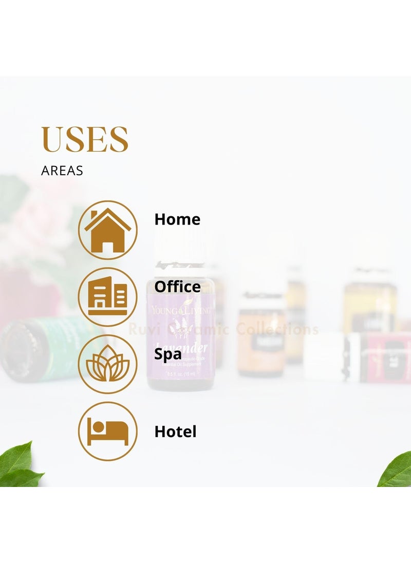 Ruvi Handicrafts Aroma Diffuser Fragrance Humidifier Aroma Oil Camphor Burner for Office Home Decor Therapy Galvanized Metal with Golden Finish Ganesh