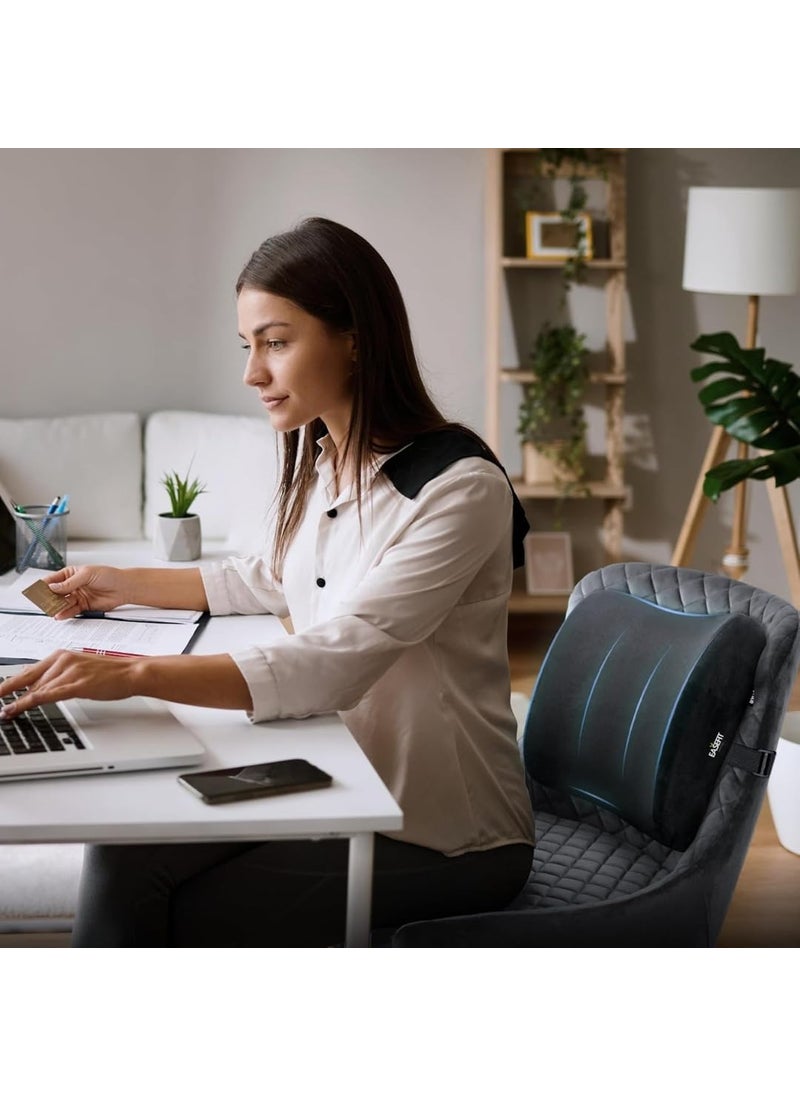 EASEFIT Orthopedic Lumbar Support Memory Foam Back Rest Cushion Ideal Back Pillow for ComputerOffice Chair Designed for Back Pain Relief Improves Posture While Sitting Mesh Black