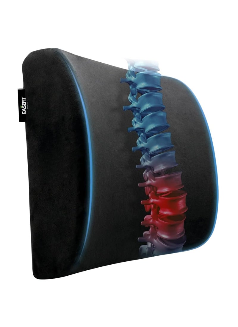 EASEFIT Orthopedic Lumbar Support Memory Foam Back Rest Cushion Ideal Back Pillow for ComputerOffice Chair Designed for Back Pain Relief Improves Posture While Sitting Mesh Black
