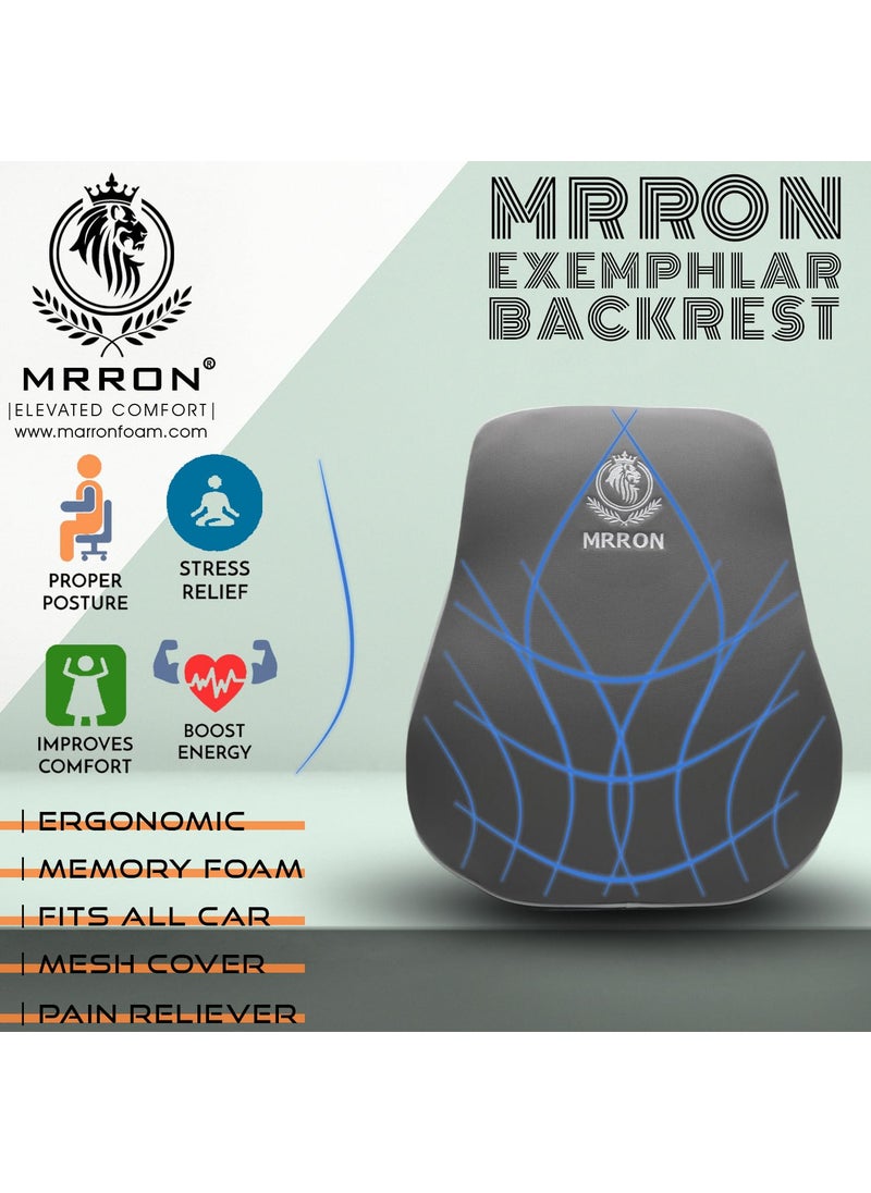 MRRON Faux Exemphlar Large Back Support Neck Rest for Chair Car Seat Orthopaedic Lumbar Support Memory Foam Backrest Cushion Designed for Back Pain Relief Pillow for Comfortable Sitting Grey