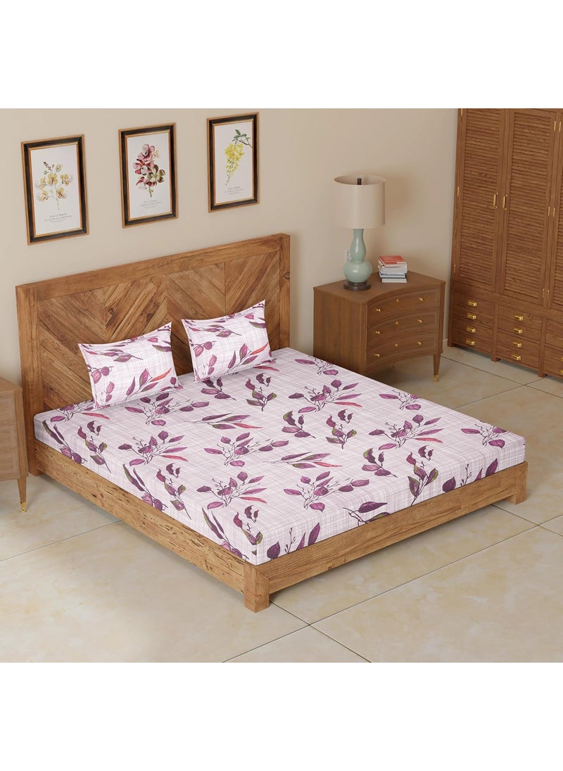 CloudWeave Home Company Premium Elasticated Bedsheets King Size 140TC Cotton 78 x 72 inches 10 Inch Drop with 2 Pillow Covers 18 x 27 Inches Also fits Double Bedsheet Purple Bedsheet