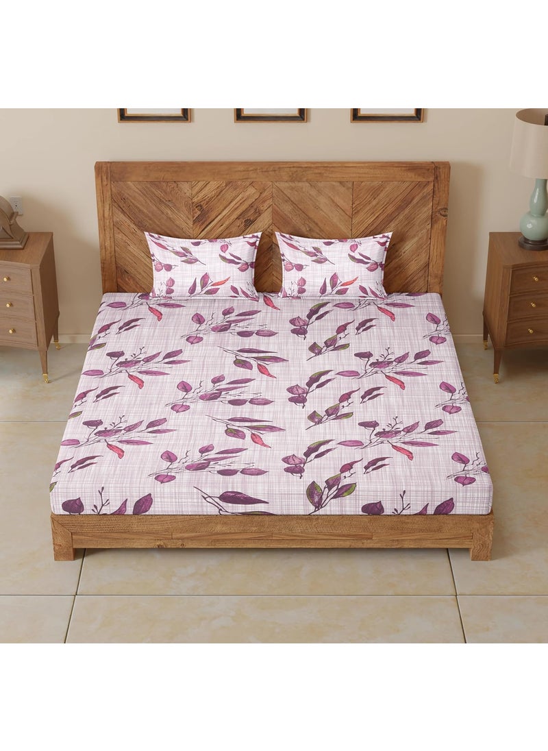 CloudWeave Home Company Premium Elasticated Bedsheets King Size 140TC Cotton 78 x 72 inches 10 Inch Drop with 2 Pillow Covers 18 x 27 Inches Also fits Double Bedsheet Purple Bedsheet