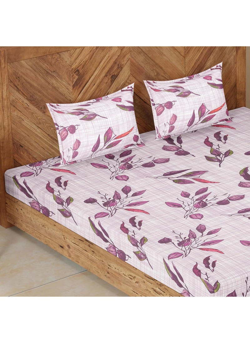 CloudWeave Home Company Premium Elasticated Bedsheets King Size 140TC Cotton 78 x 72 inches 10 Inch Drop with 2 Pillow Covers 18 x 27 Inches Also fits Double Bedsheet Purple Bedsheet