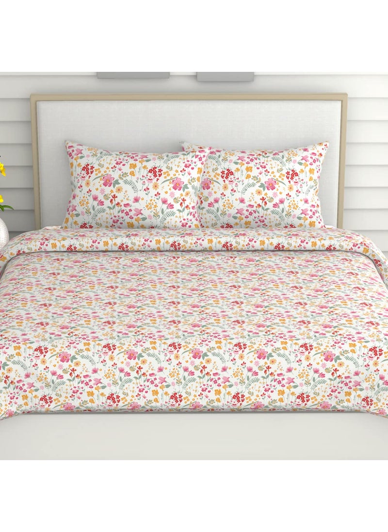 Haus Kinder King Size Bedsheets for Bed 186 TC 100 Cotton Bed Sheet for King Size Bed with 2 Pillow Covers Color Bedsheet Utopia