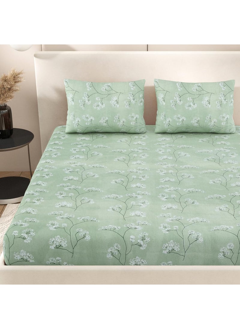 Jaipur Weaves Bedsheet Queen Size 100 Pure Cotton Bed Sheet with 2 Pillow Covers Super Soft Cozy Bedsheets Set90x100 inches Green Queen