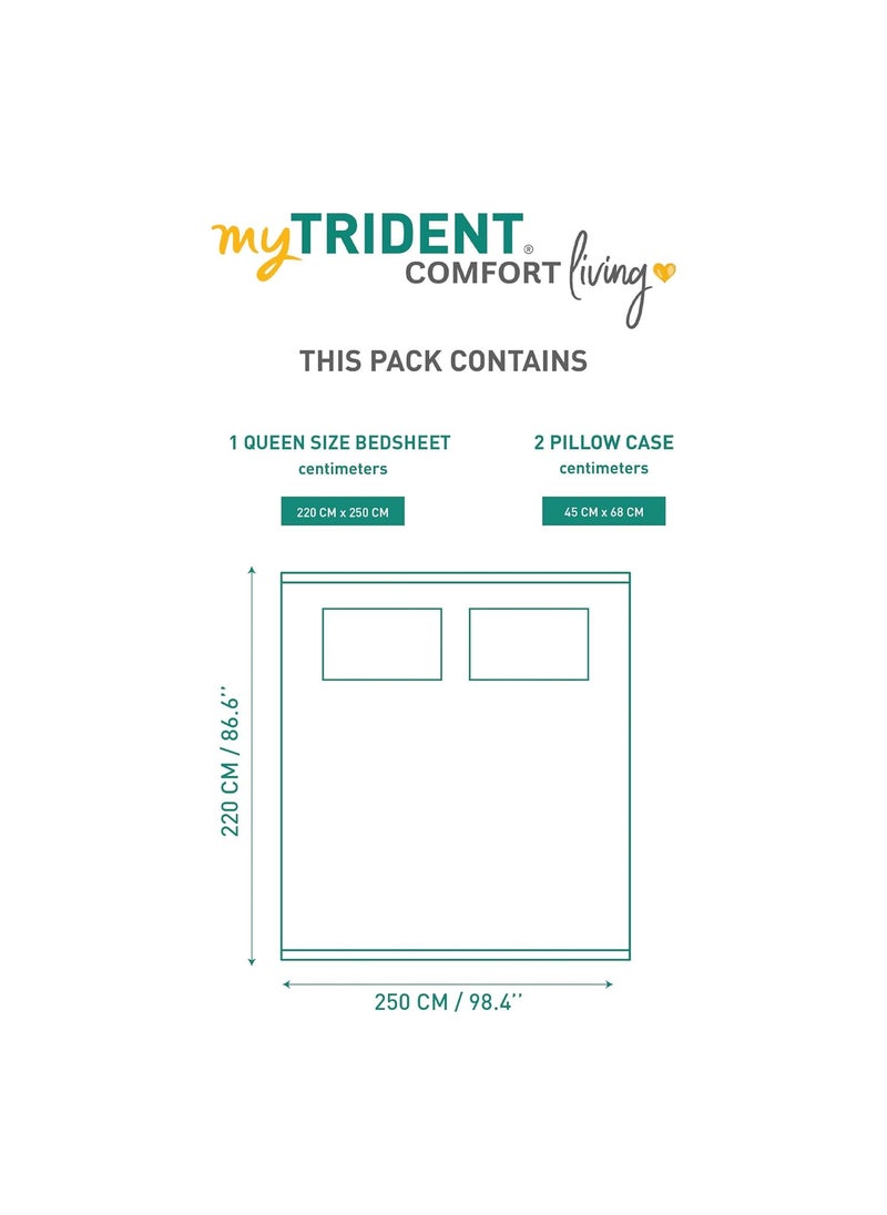 MYTRIDENT Glaced Cotton Microfiber Bedsheet for Double Bed Printed Queen Size Bedsheet Set with 2 Pillow Covers Ornate