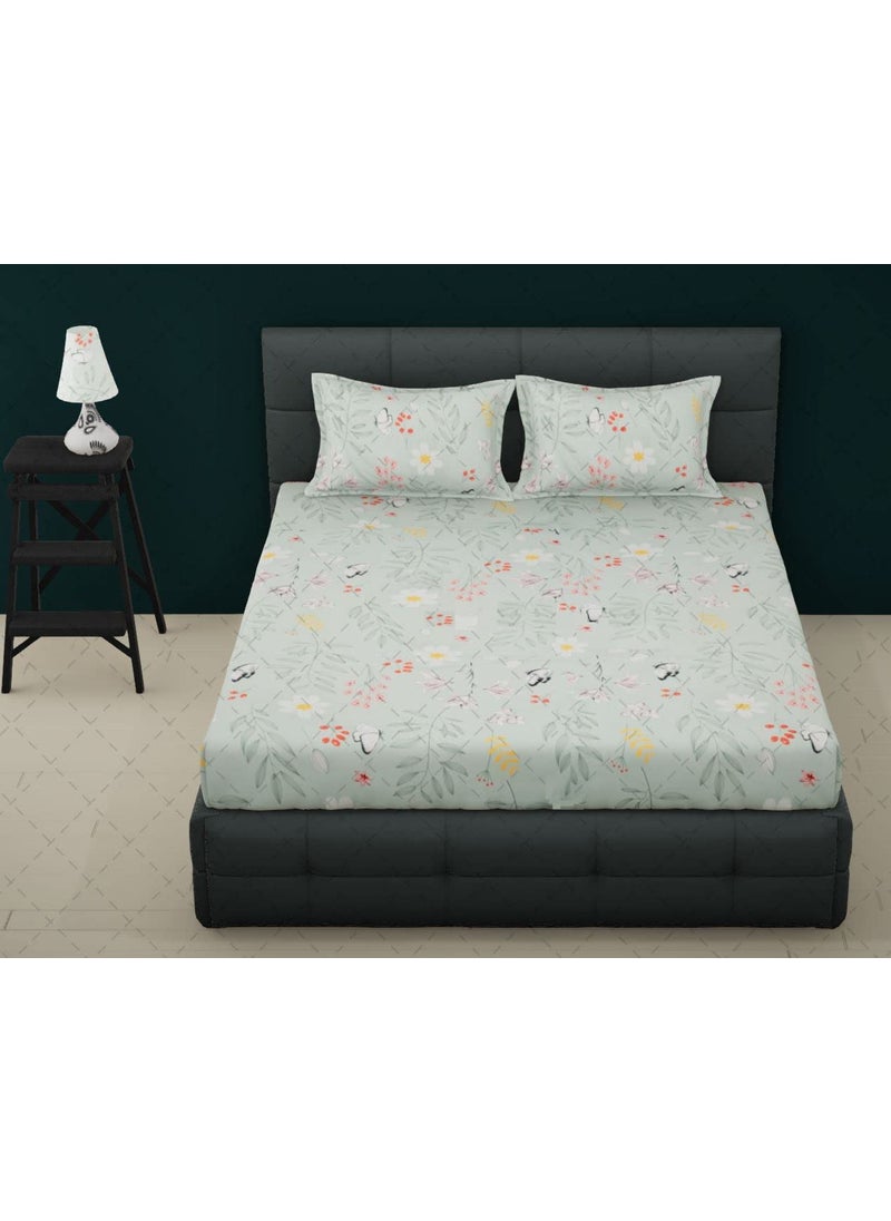 COZY FURNISH Super Soft Brushed Microfiber Cotton Double Bedsheet with 2 Pillow CoversBedsheet 90X100Inches Pillow Covers 17X27Inches pista