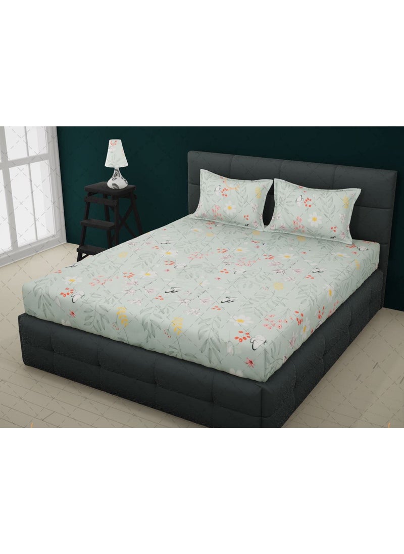 COZY FURNISH Super Soft Brushed Microfiber Cotton Double Bedsheet with 2 Pillow CoversBedsheet 90X100Inches Pillow Covers 17X27Inches pista