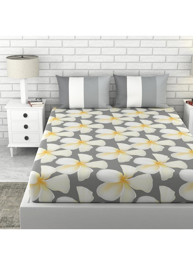 LORETO A QUALITY LINEN BRAND 100 Cotton Bedsheet for Double Bed 1 Double Bedsheet with 2 Pillow Covers 144 TC Queen Size Double Bedsheet Cotton Floral White Grey