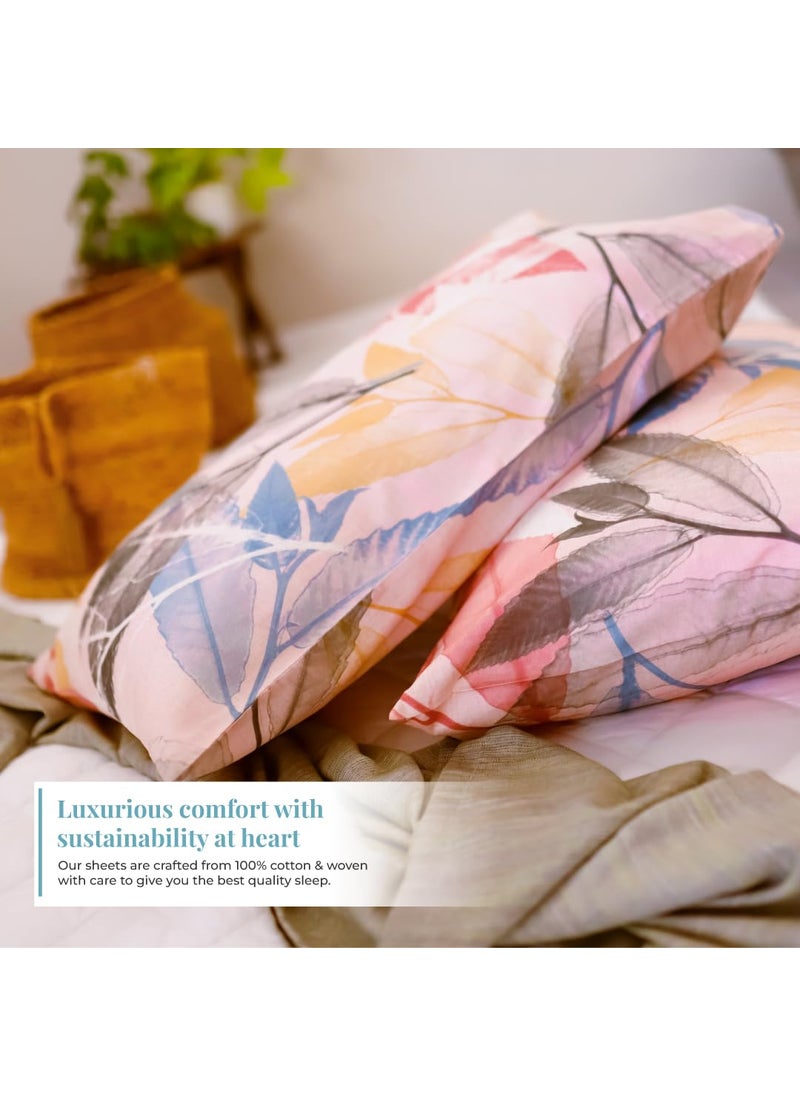 Blue Dahlia 100 Cotton Elastic Fitted Sheet Set Queen Size Up to 12 Deep Pocket 254TC 1 Fitted Sheet 60x80 2 Pillow Cover SA 8000 Oeko TEX Certified Pastel Pink