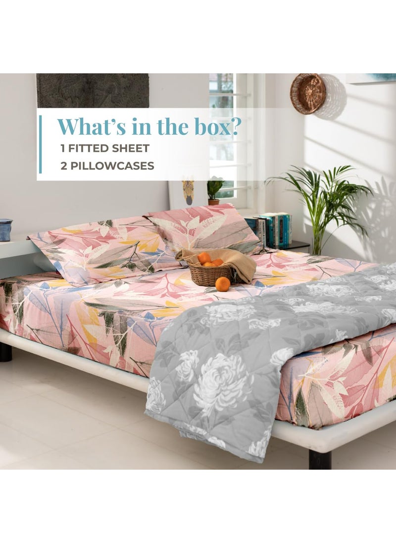 Blue Dahlia 100 Cotton Elastic Fitted Sheet Set Queen Size Up to 12 Deep Pocket 254TC 1 Fitted Sheet 60x80 2 Pillow Cover SA 8000 Oeko TEX Certified Pastel Pink