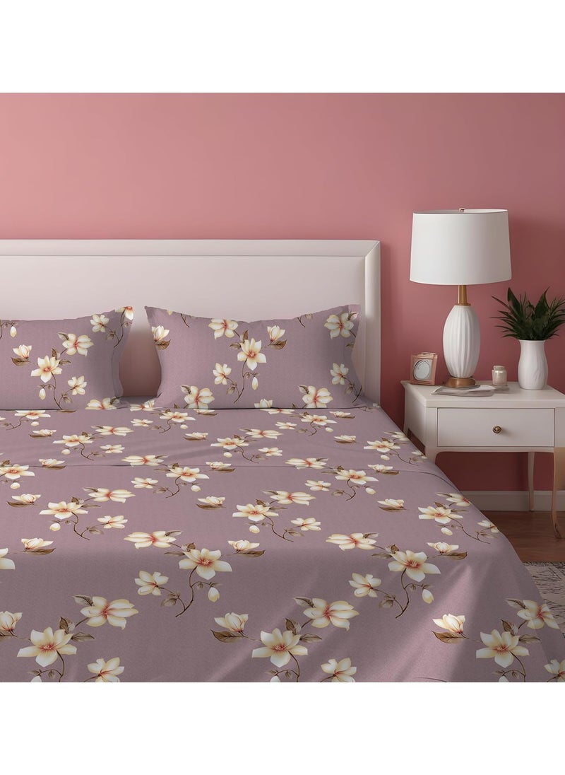 DREAMLET Premium Cotton Flat Double Bedsheets with 2 King Size Pillow Covers Double Bed Breathable Wrinklefree Ultrasoft Supersoft 220TC Flat Purple Yellow