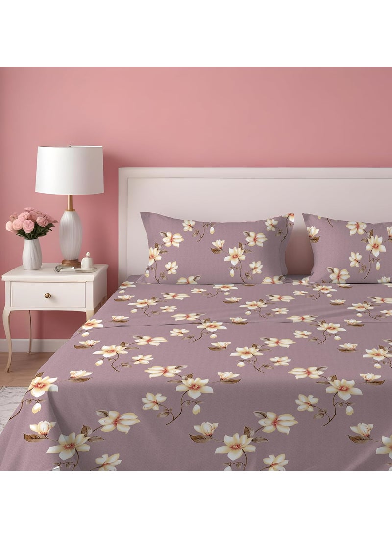 DREAMLET Premium Cotton Flat Double Bedsheets with 2 King Size Pillow Covers Double Bed Breathable Wrinklefree Ultrasoft Supersoft 220TC Flat Purple Yellow