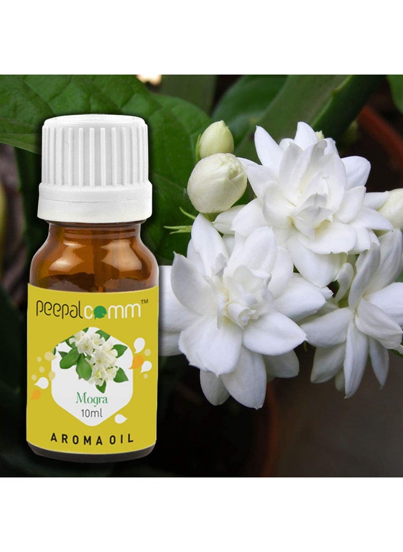 Peepalcomm Marble Glass Green Kapoor Dani Electric Camphor Diffuser with 1 Mogra 1 Jasmine Scented Aroma Oil10ml Each Night Lamp Natural Air Purifier for Home FragranceOfficeSpaTemple Etc