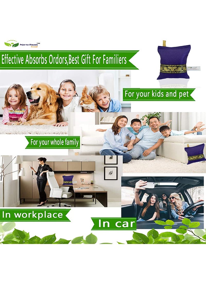 NewSun Activated Charcoal Air Purifying Bag 2Pack of200G Decorative Natural Pure Odor Absorber for the Home Office and Car Scent Free Family and Pet safe Violet