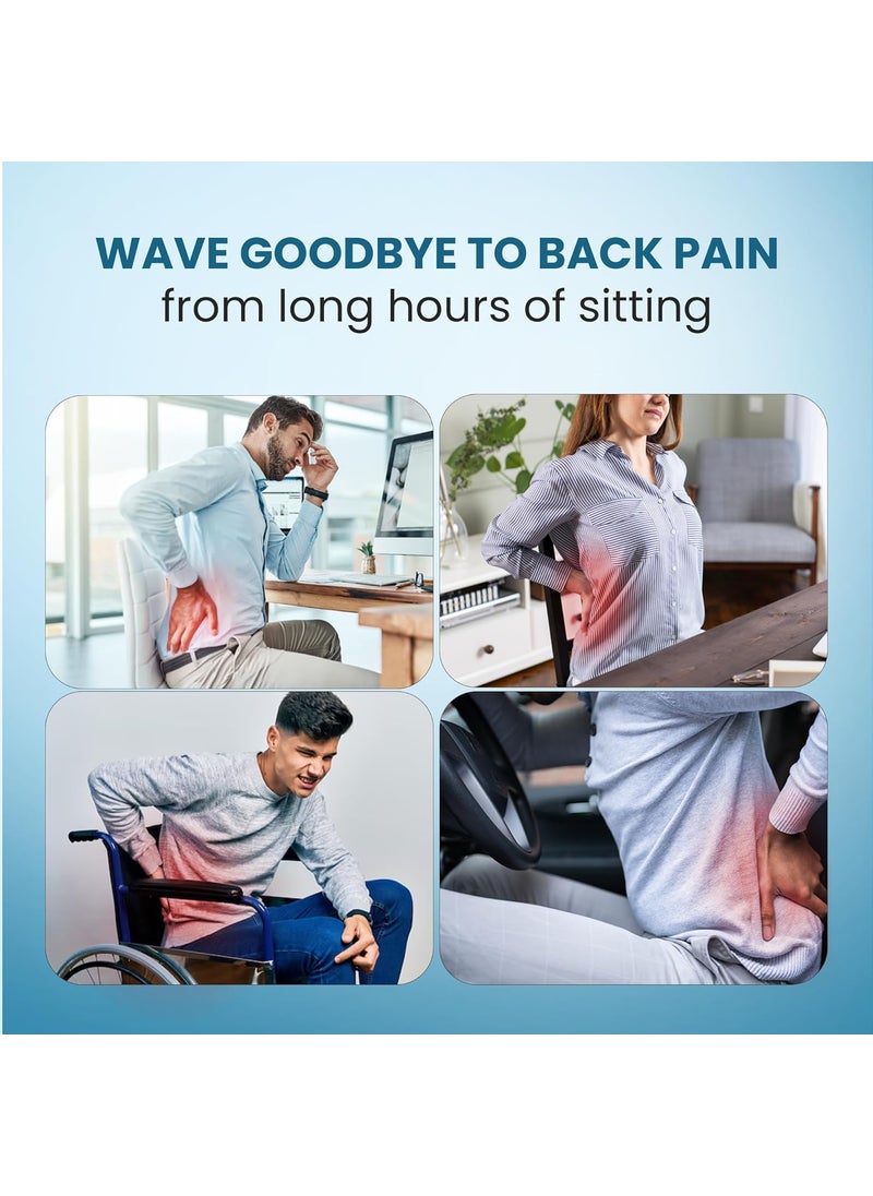 CareFoam Back Support for Office Chair Memory Foam Back Rest for Office Chair Chair Back Support for Back Pain Relief for OfficeHome Chair Car Seat Removable Cover Mesh Black Large