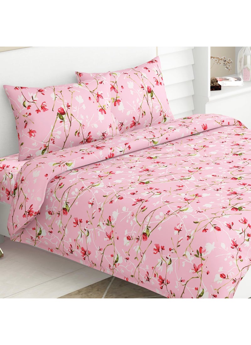 haus kinder Double Size Bedsheets for Bed 186 TC 100 Cotton Bed Sheet for Queen Size Bed with 2 Pillow Covers Bedsheet with Vintage Pik Design