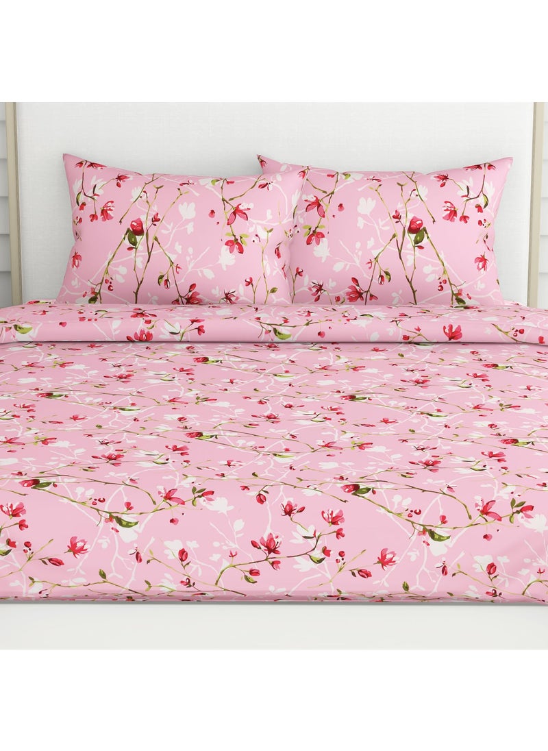 haus kinder Double Size Bedsheets for Bed 186 TC 100 Cotton Bed Sheet for Queen Size Bed with 2 Pillow Covers Bedsheet with Vintage Pik Design