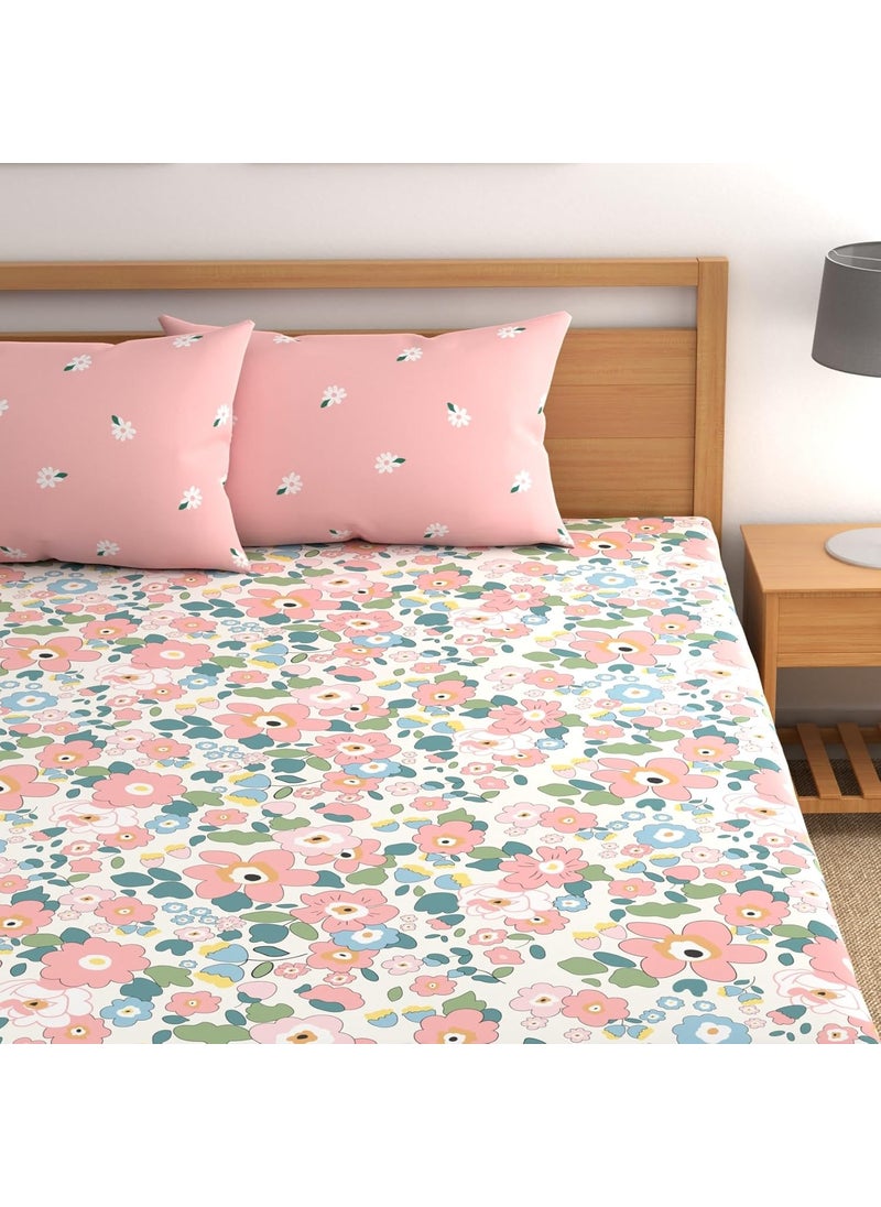 DREAMLET Prime Collections 180TC Glace Cotton Breathable Supersoft Wrinkelfree Double Flat Bedsheet with 2 King Size Pillow Covers Pink Multi Flat