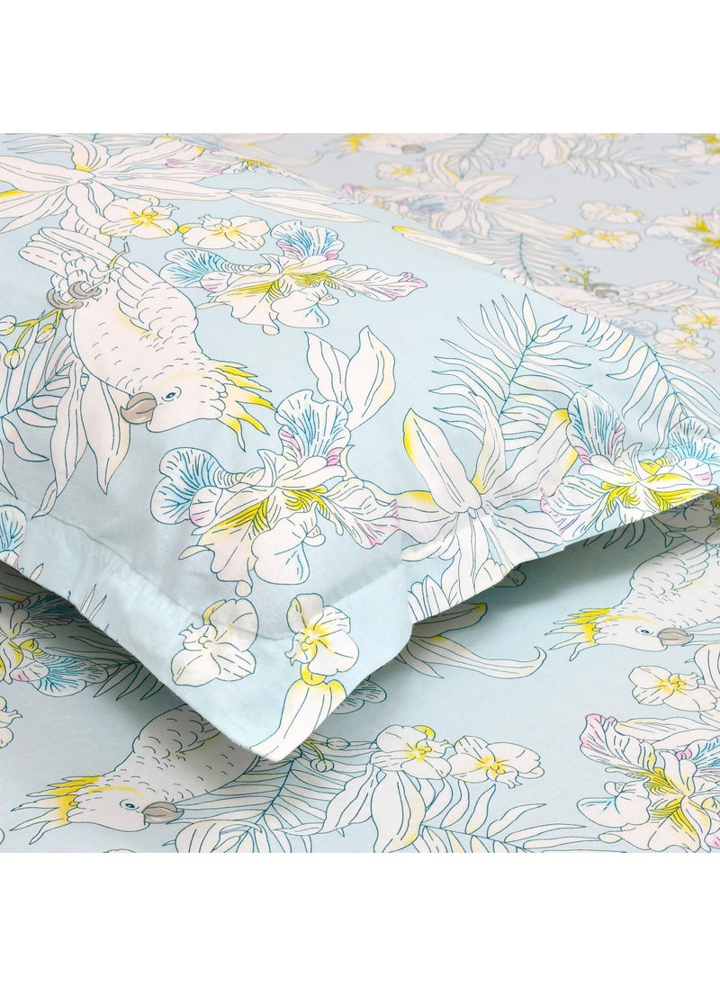 Haus Kinder King Size Bedsheet for Double Bed 144 TC Pure Cotton Bed Sheet Bed Set with 2 Pillow Covers Tropical Bird