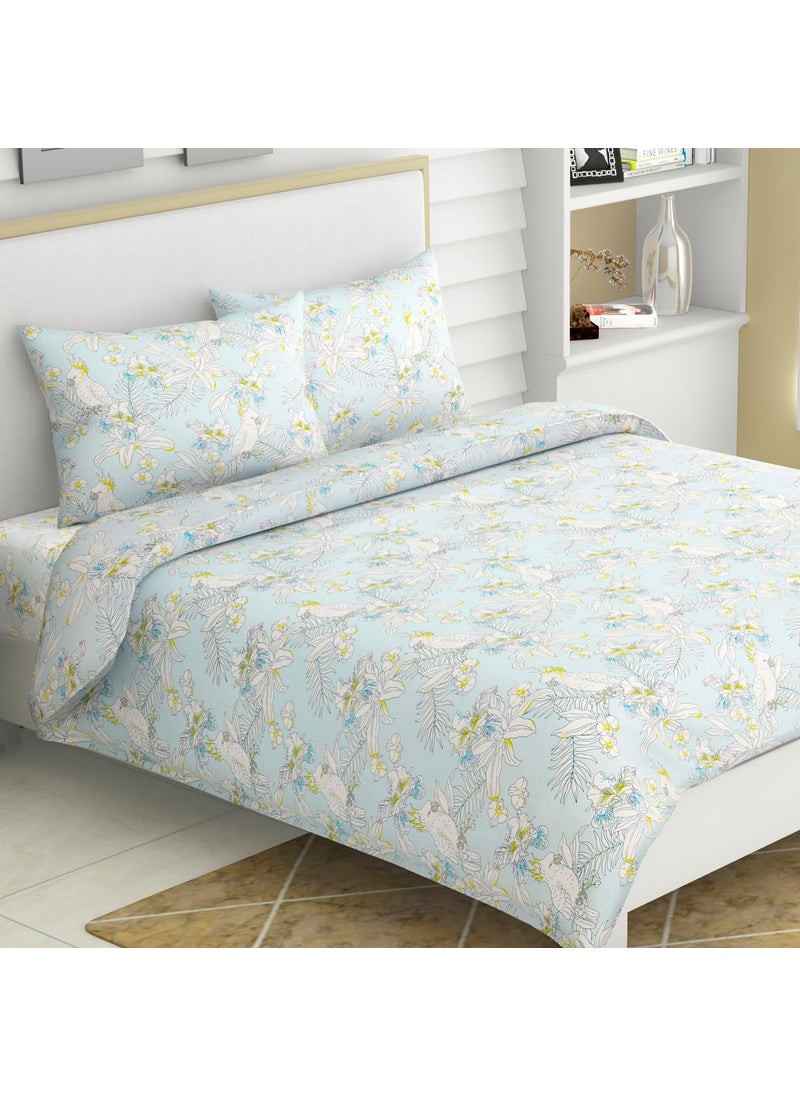 Haus Kinder King Size Bedsheet for Double Bed 144 TC Pure Cotton Bed Sheet Bed Set with 2 Pillow Covers Tropical Bird