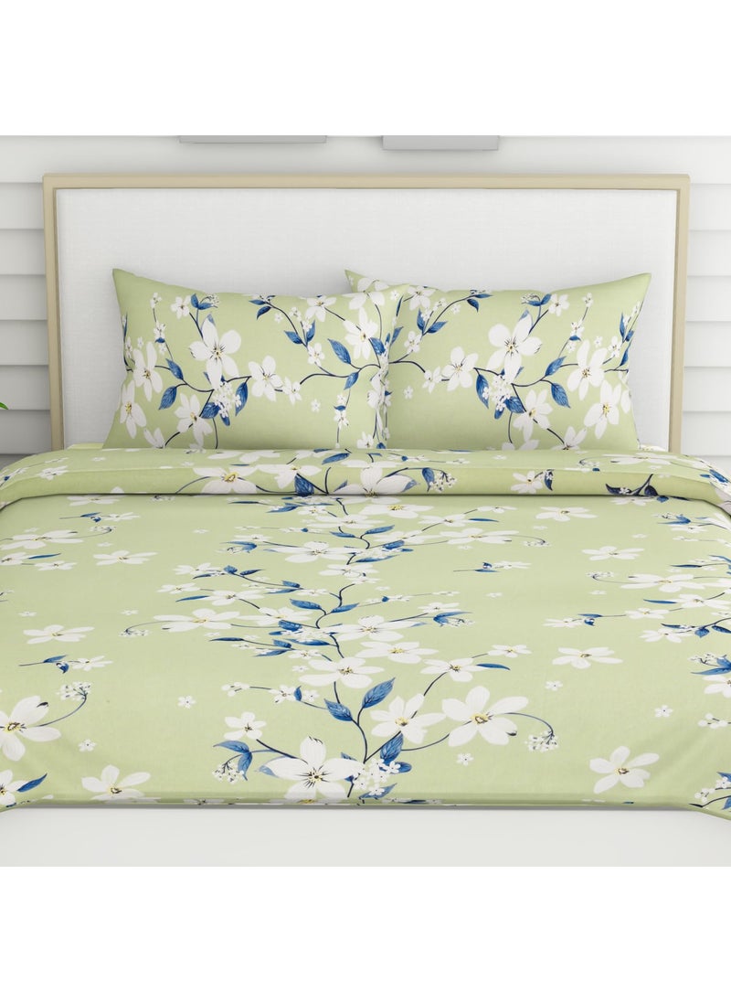 Haus Kinder Double Size Bedsheet for Double Bed 144 TC Pure Cotton Queen Size with 2 Pillow Covers Bed Sheet with Ivory Bloom Green Design