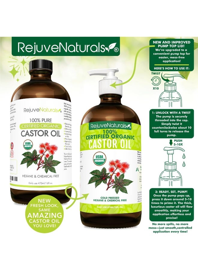 RejuveNaturals Castor Oil 16oz Glass Bottle USDA Certified Organic 100 Pure Cold Pressed Hexane Free Boost Hair Growth for Thicker Fuller Hair Lashes  Eyebrows