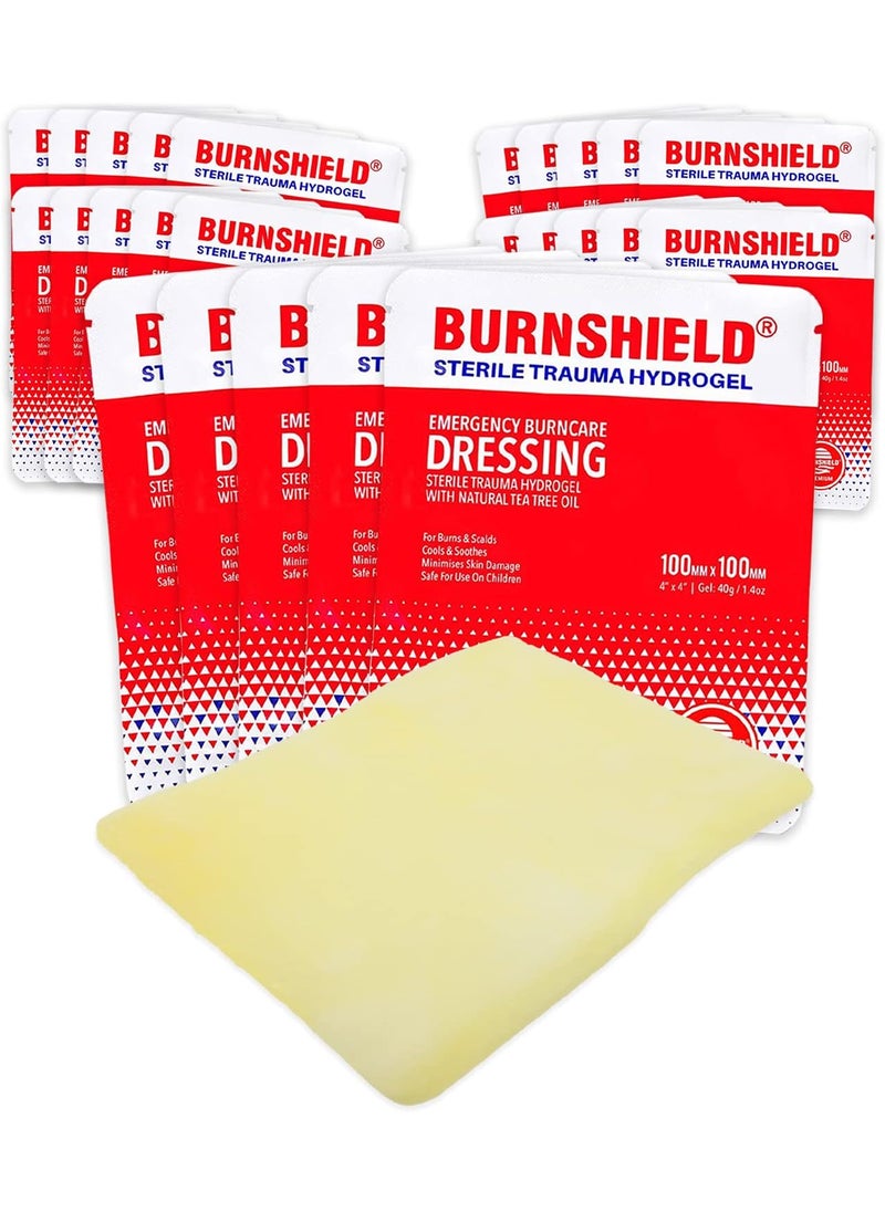 Burnshield 4