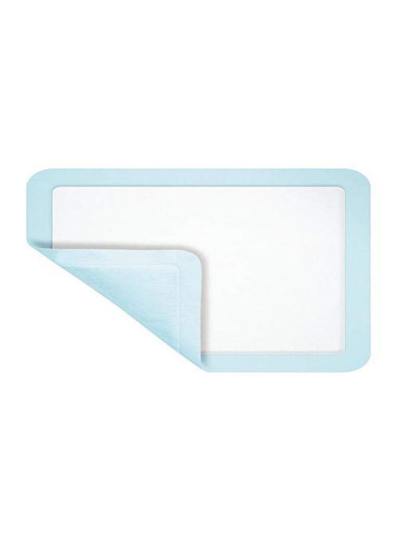 Xtrasorb Classic Dressing, 6