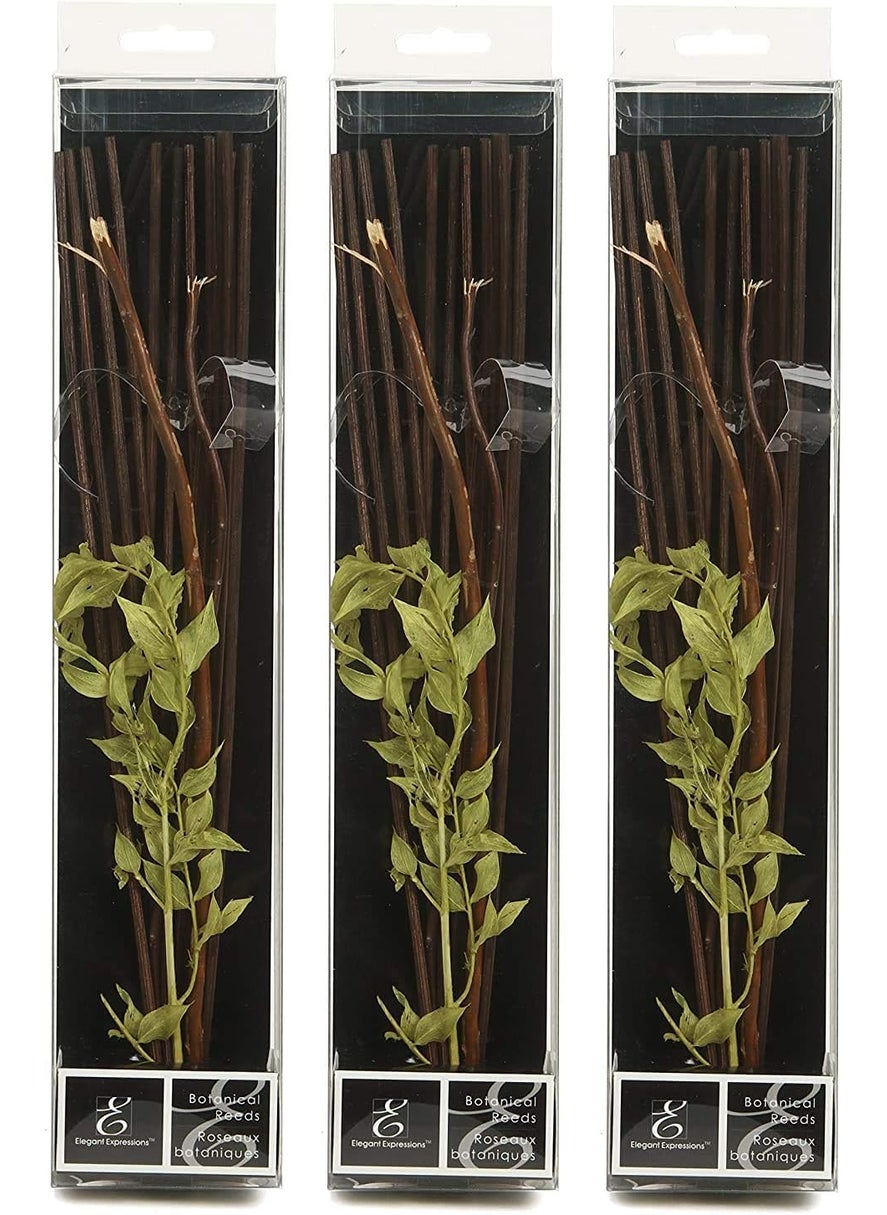 Aromatherapy Hosley's Set of 3 Botanical Diffuser Reeds - Green/Brown- 12.5