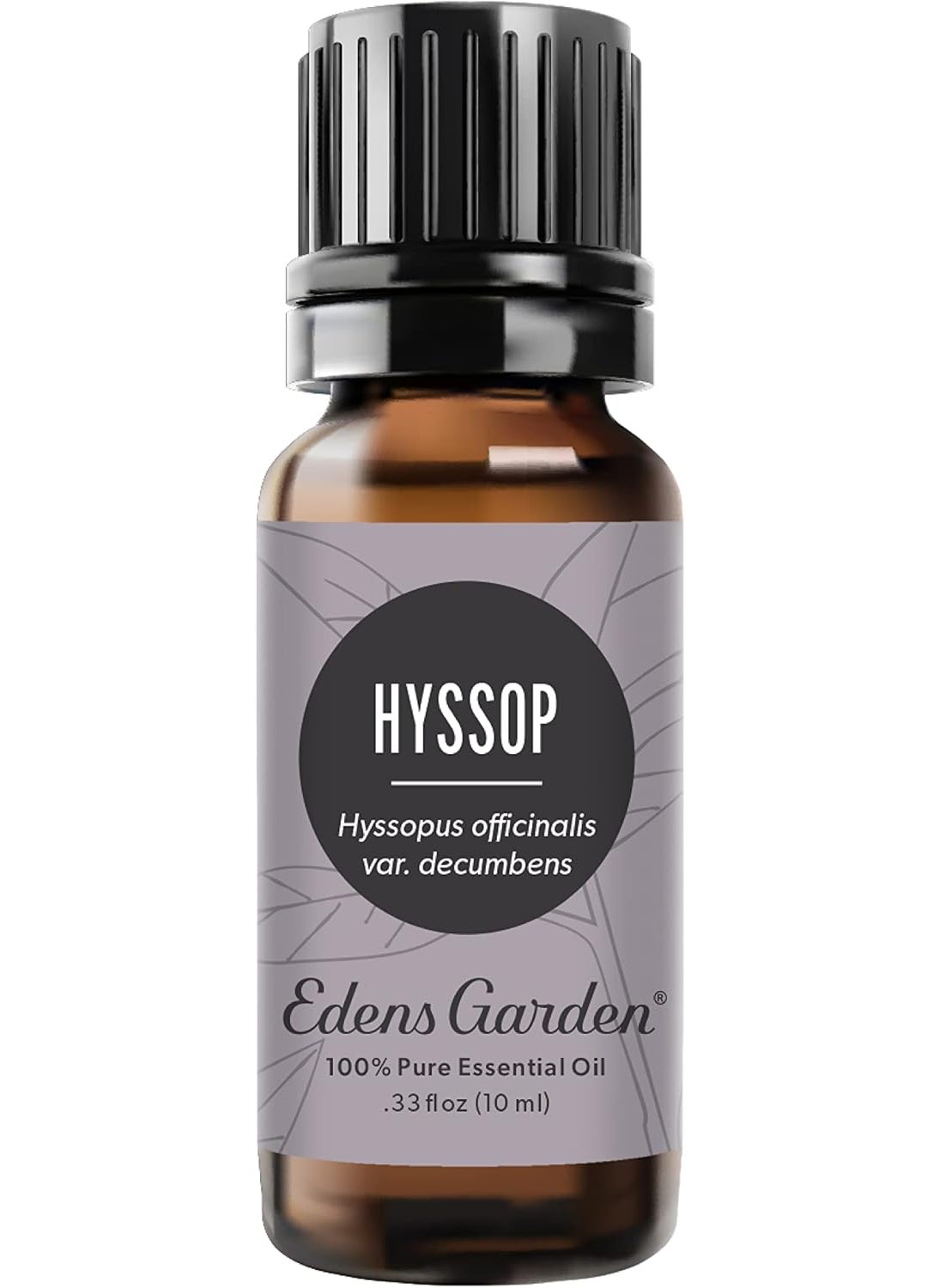 Edens Garden Hyssop Essential Oil, 100% Pure Therapeutic Grade (Undiluted Natural/Homeopathic Aromatherapy Scented Essential Oil Singles) 10 ml