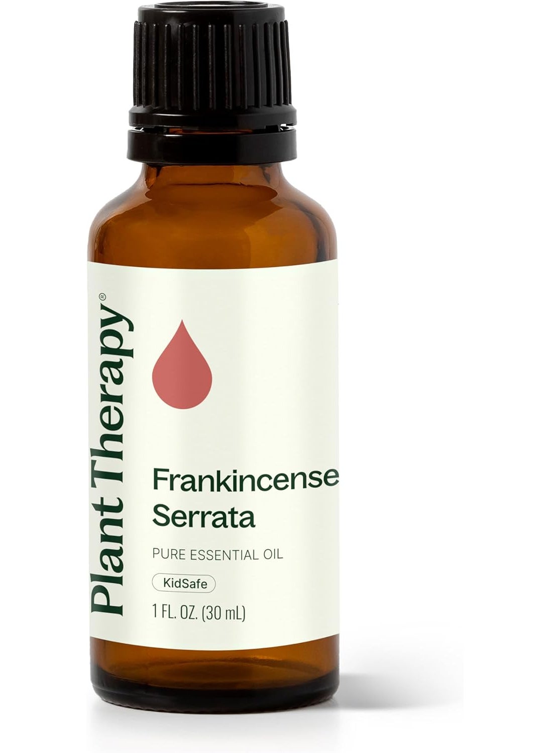 Plant Therapy Frankincense Serrata Essential Oil 100% Pure, Undiluted, Natural Aromatherapy, Therapeutic Grade 30 mL (1 oz)