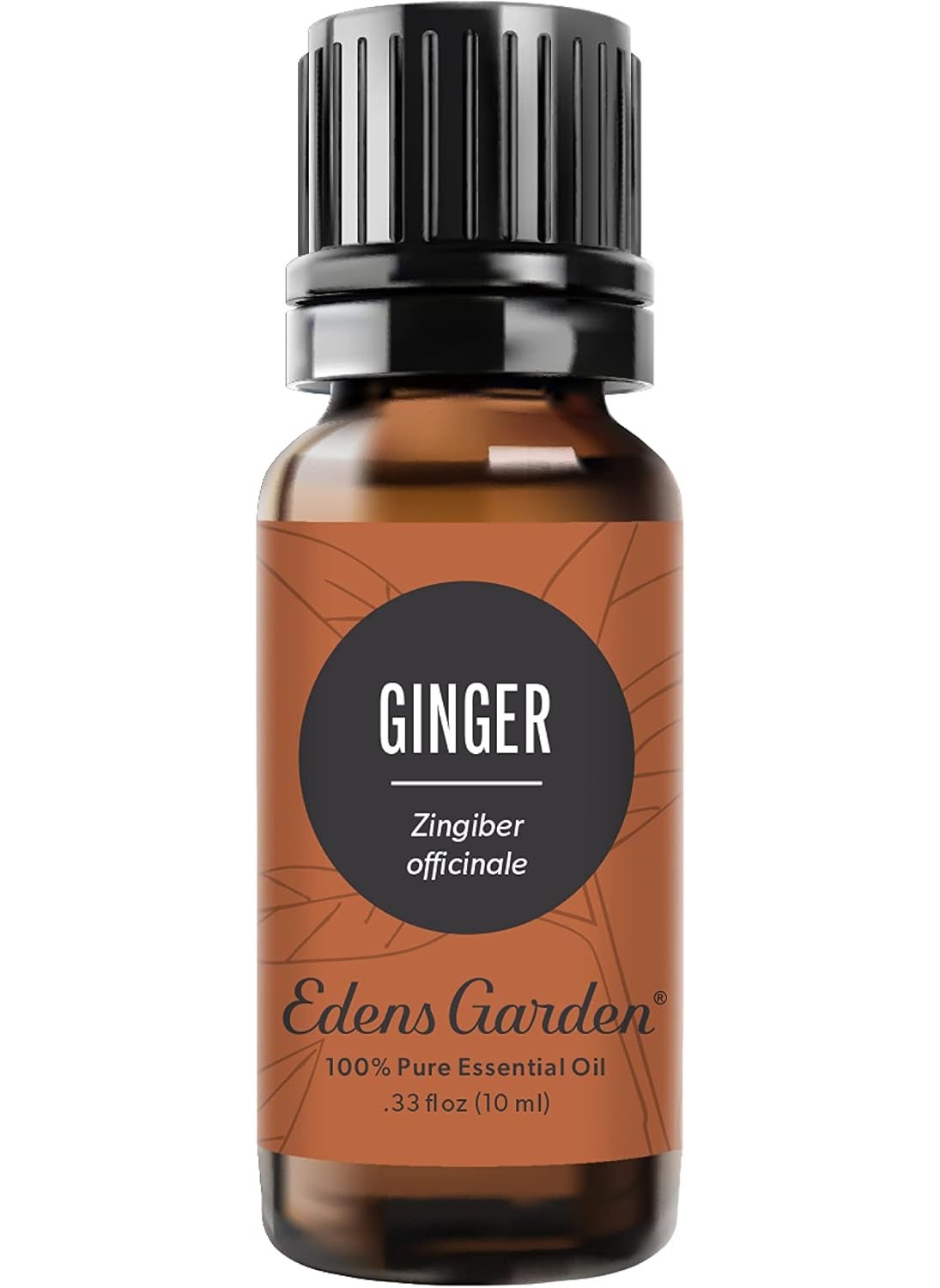 Edens Garden Ginger Essential Oil- 100% Pure Premium Grade, Undiluted, Natural, Therapeutic, Aromatherapy, The Best for Diffuser, Skin, Candle, Kid Safe 10 ml (.33 fl oz)