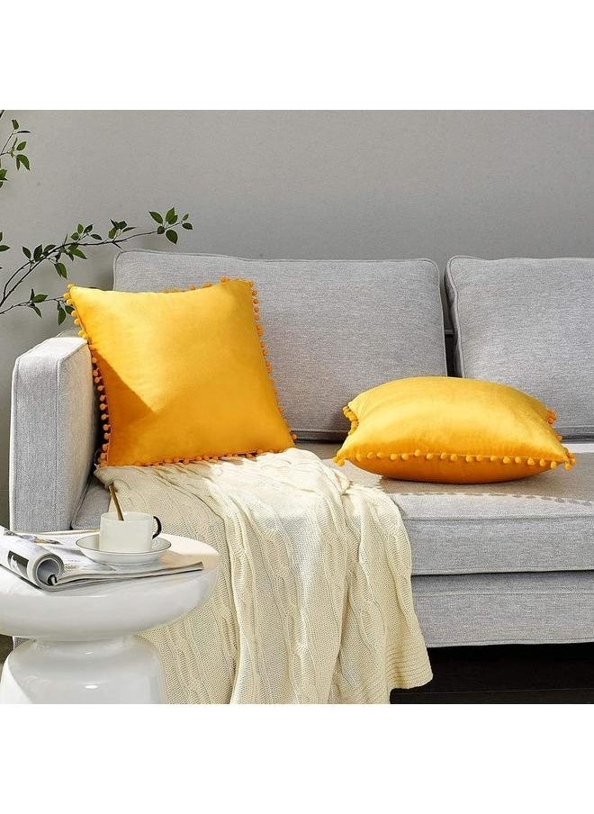 2 Pack Pillow Covers 18x18 Decorative Boho Throw Pillow Covers Smooth Soft Velvet Pompom Cushion Covers for Living Room Bedroom