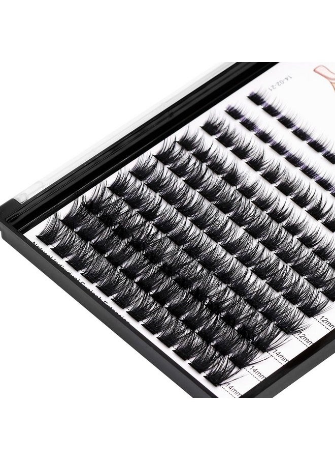 Dedila 120 Clusters Mixed 8-10-12-14mm/10-12-14-16mm Individual False Eyelashes Dramatic Look Wide Stem Natual Long Volume Eye Lashes Extensions Beauty Tools (Mixed 8-10-12-14mm)
