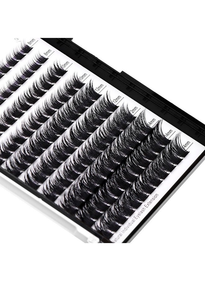 Dedila 120 Clusters Mixed 8-10-12-14mm/10-12-14-16mm Individual False Eyelashes Dramatic Look Wide Stem Natual Long Volume Eye Lashes Extensions Beauty Tools (Mixed 8-10-12-14mm)