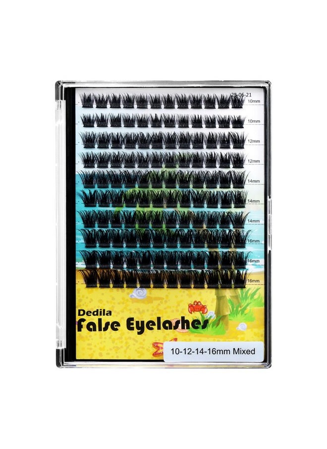 Dedila Large Pack Cluster Eyelash Extensions D Curl Wide Stem Mixed 10-12-14-16mm /12-14-16mm/14-16-18mm Individual False Eyelashes Dramatic Volume Eye Lashes Set (mixed 10-12-14-16mm)
