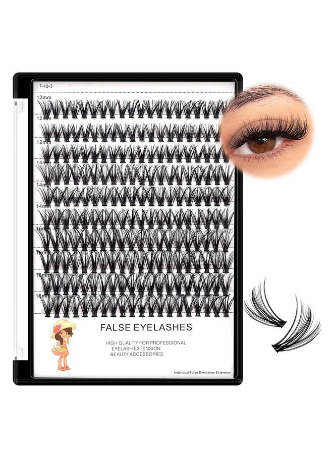 Dedila Large Tray-20Roots Thickness 0.07mm Mixed 8-10-12-14mm/ 9-11-13-15mm /12-14-16mm Black Soft and Light Individual False Eyelashes Dramatic Look Makeup Volume Eye Lashes Cluster (12-14-16MM)