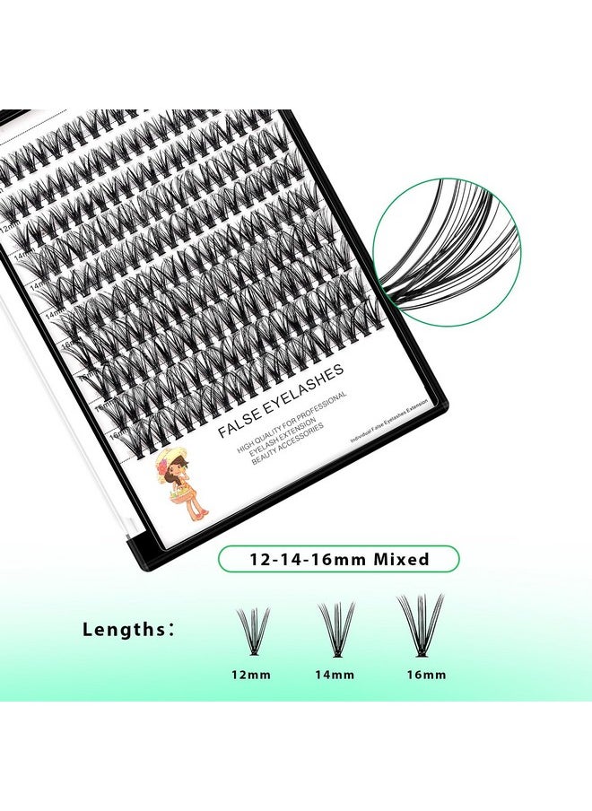 Dedila Large Tray-20Roots Thickness 0.07mm Mixed 8-10-12-14mm/ 9-11-13-15mm /12-14-16mm Black Soft and Light Individual False Eyelashes Dramatic Look Makeup Volume Eye Lashes Cluster (12-14-16MM)