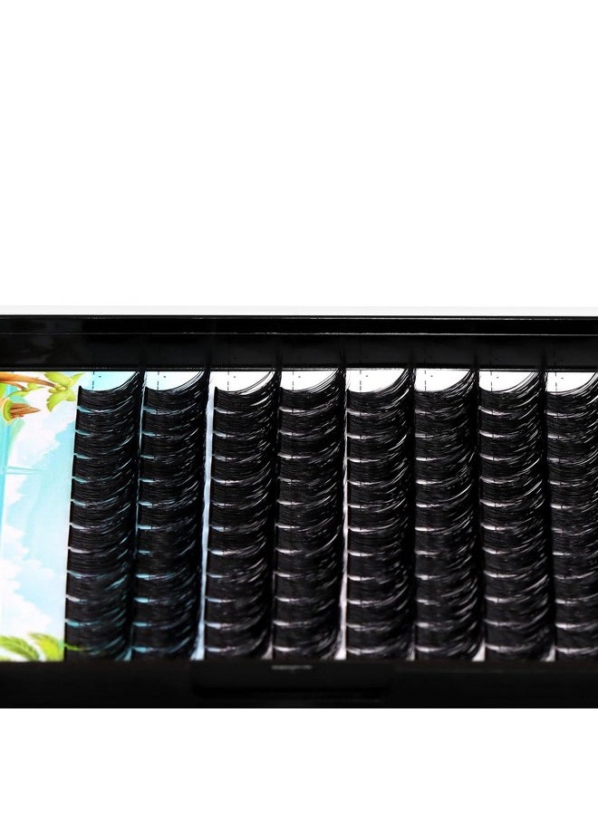 Dedila Large Pack 8-20mm to Choose D Curl Cluster Eyelash Extensions D Curl Wide Stem Individual False Eyelashes Dramatic Volume Eye Lashes Set Home DIY Lashes (10mm)